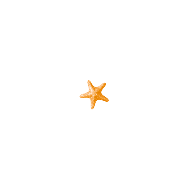 8_SEA-LIFE
